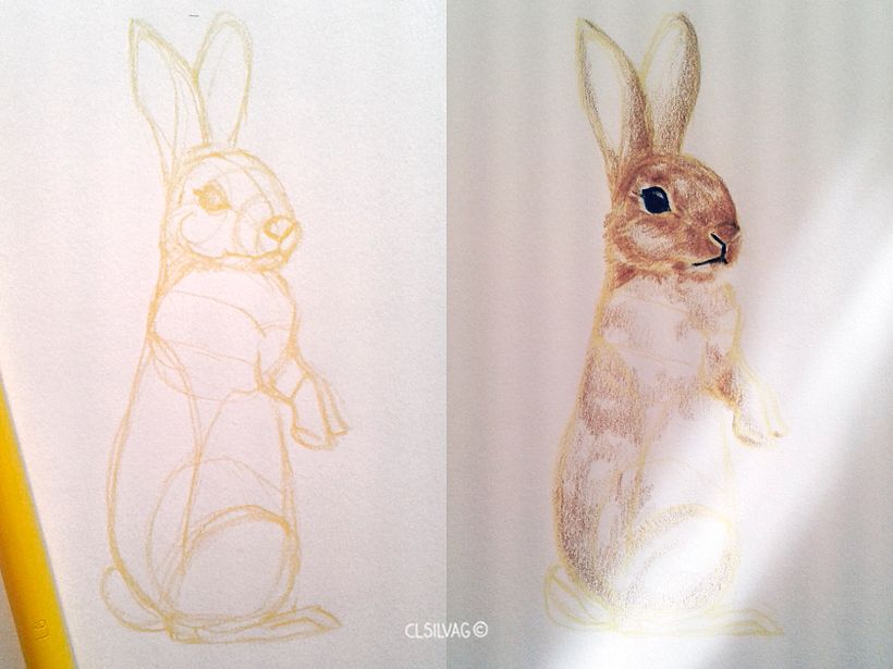 Rabbit Pattern Design  3