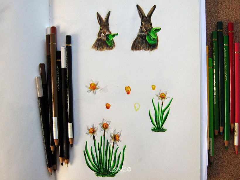 Rabbit Pattern Design  8