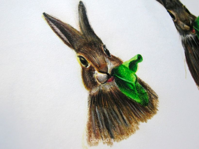 Rabbit Pattern Design  9