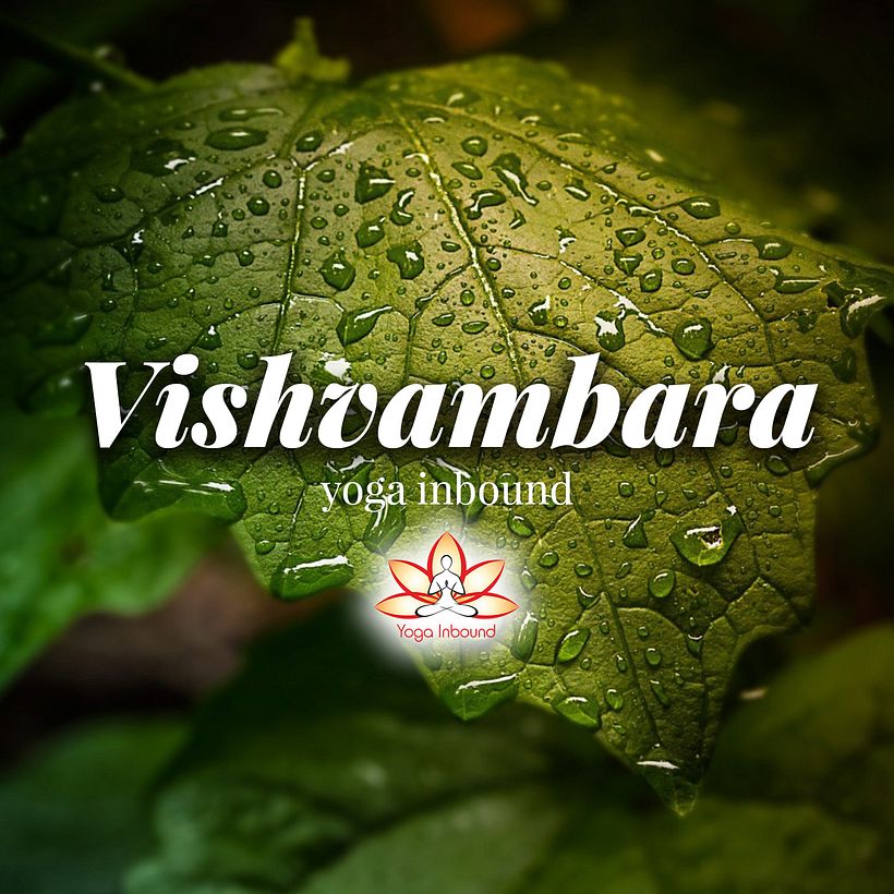 Mi Proyecto: Vishvambara Yoga en RRSS 0