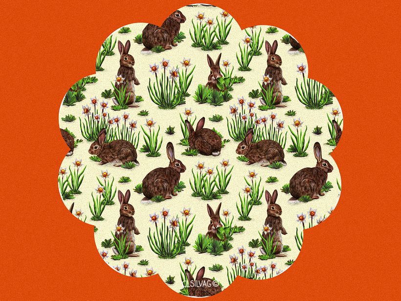 Rabbit Pattern Design  1