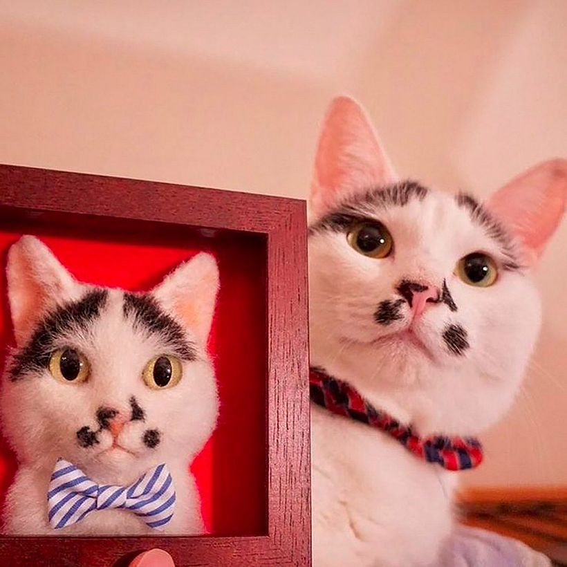 Wakuneko: los retratos gatunos realizados con needle felting  8