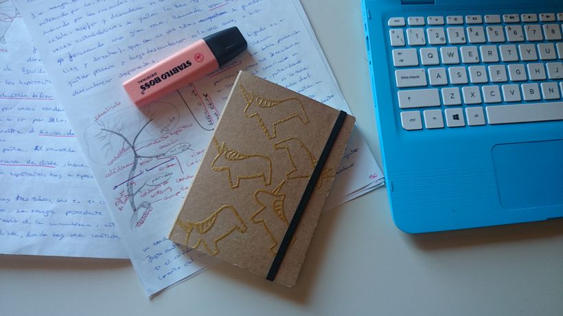 Libretas decoradas con Embossing 0