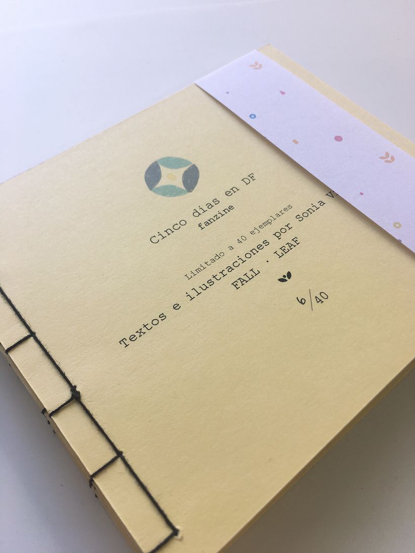 Mi Proyecto del curso: "Cinco días en DF" 1
