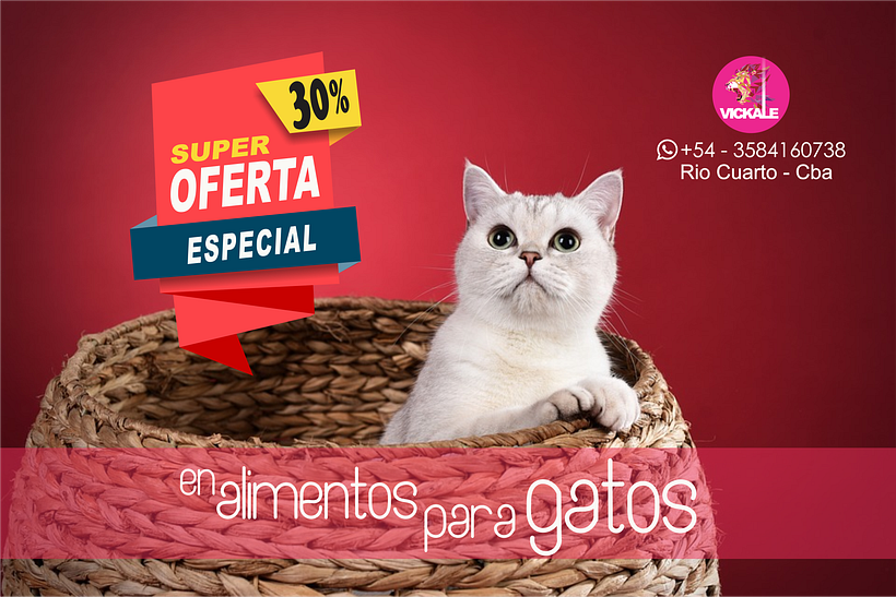 PETSHOP -1