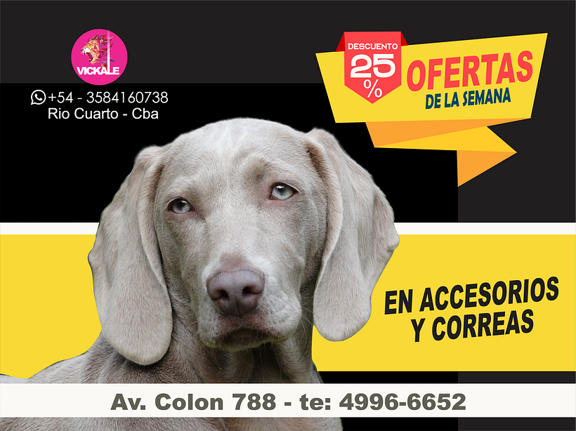 PETSHOP 3
