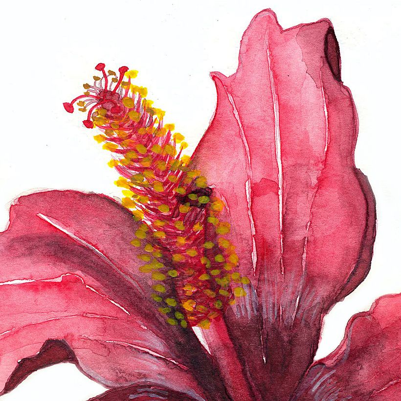 Mi Proyecto del curso: Ilustración botánica con acuarela 9