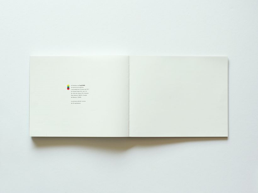 Festival TAG CDMX - Diseño de libro 16