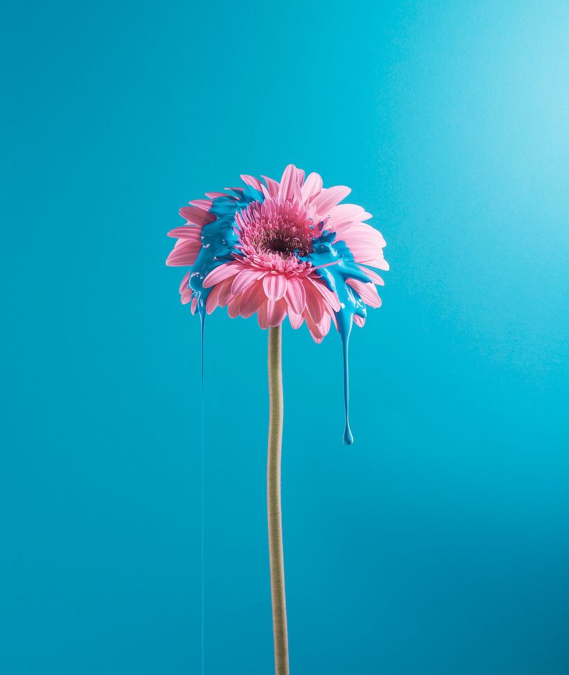 La belleza de la naturaleza en gotas, pintura y flores 1