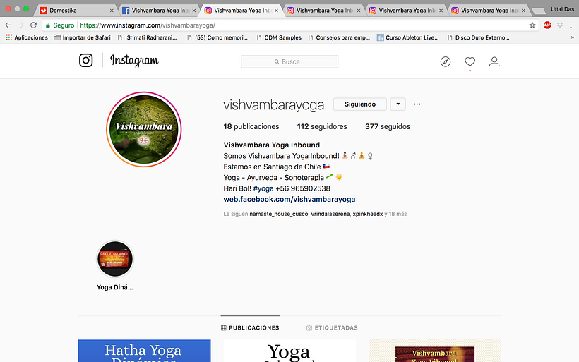 Mi Proyecto: Vishvambara Yoga en RRSS 4