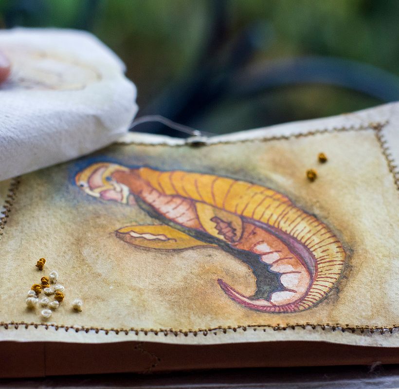 Tuut´ah (libro de artista) 5