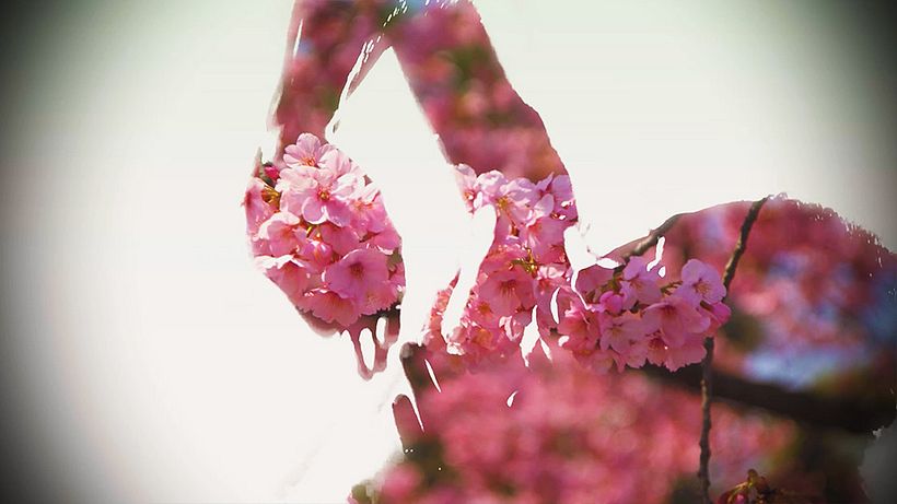 DOUBLE EXPOSURE VIDEO IN PREMIERE PRO 0