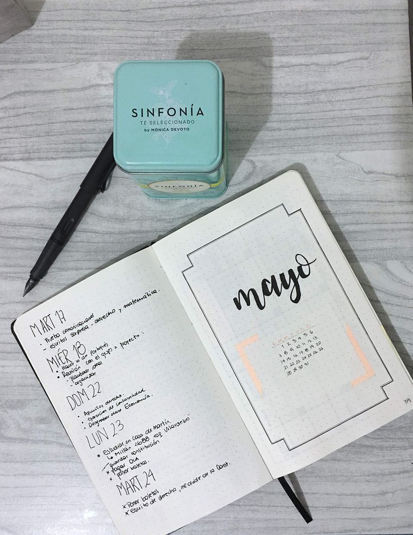 Mi Proyecto del curso: Fotografía profesional para Instagram 1