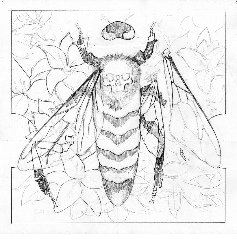 Bestia Parda Records Split design 5