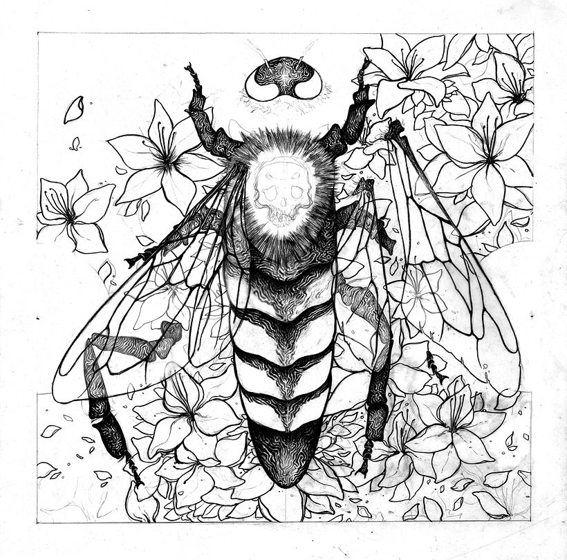 Bestia Parda Records Split design 8