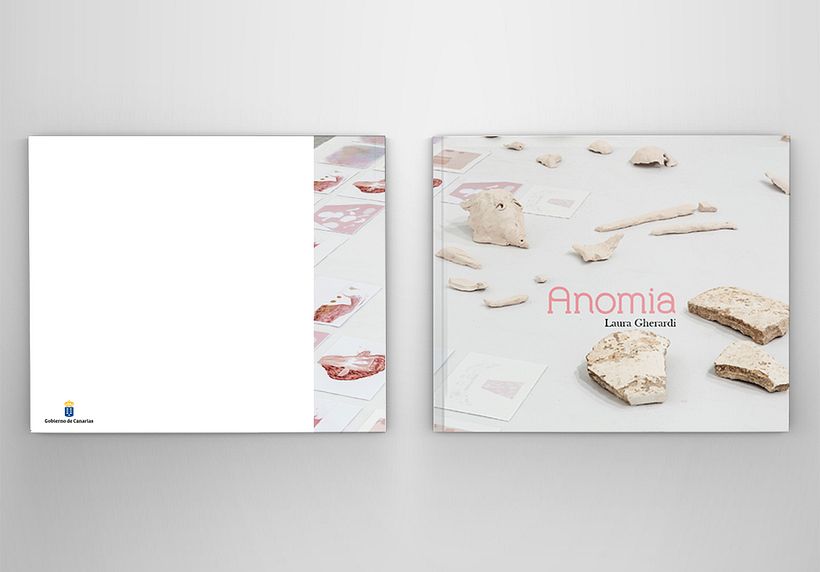 Laura Gherardi / Anomia 1