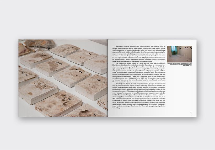 Laura Gherardi / Anomia 4