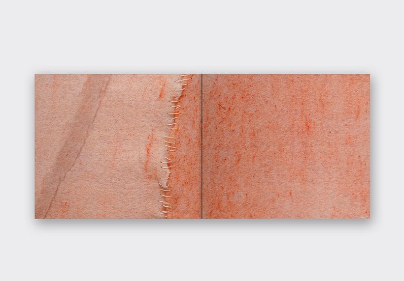 Laura Gherardi / Anomia 7