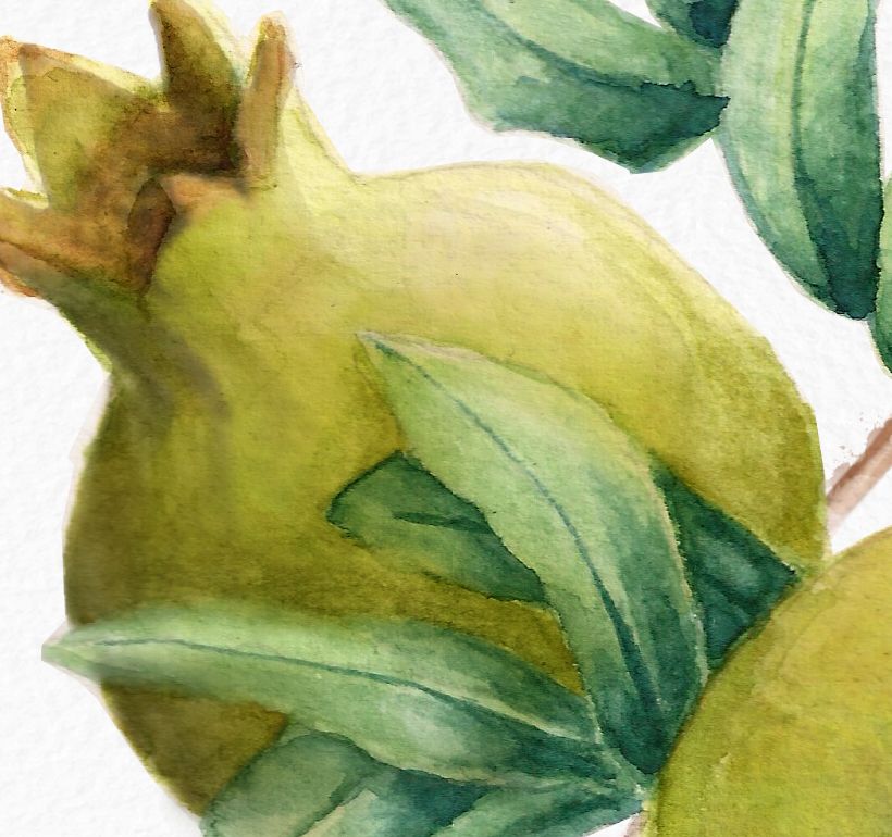 Mi Proyecto del curso: Ilustración botánica con acuarela 5