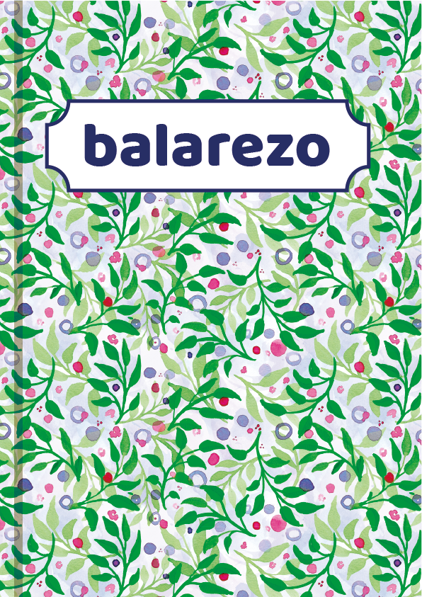 Cuaderno de notas, BlueBerry 0