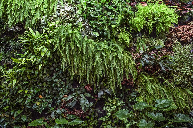 Restaurante De la O 8