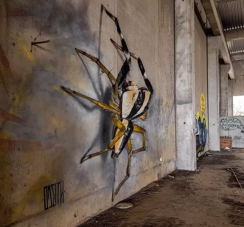 Odeith: Insectos gigantes e ilusiones 3D 3
