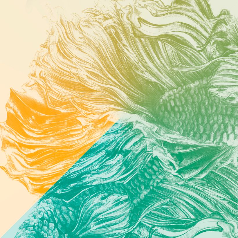 PenRose 4