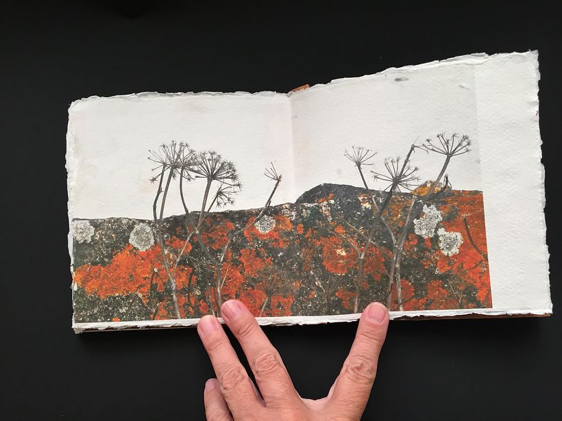 Libro de arena con hoja roja - Diseño