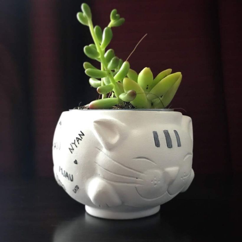 Mi Proyecto del curso: Cerámica creativa. 2