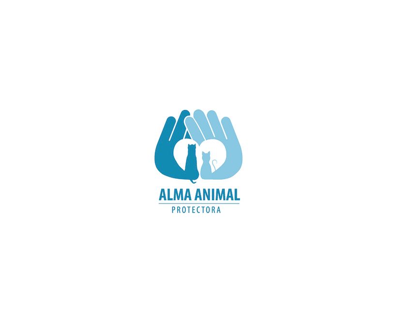 Identidad corporativa de una Protectora Animal 0