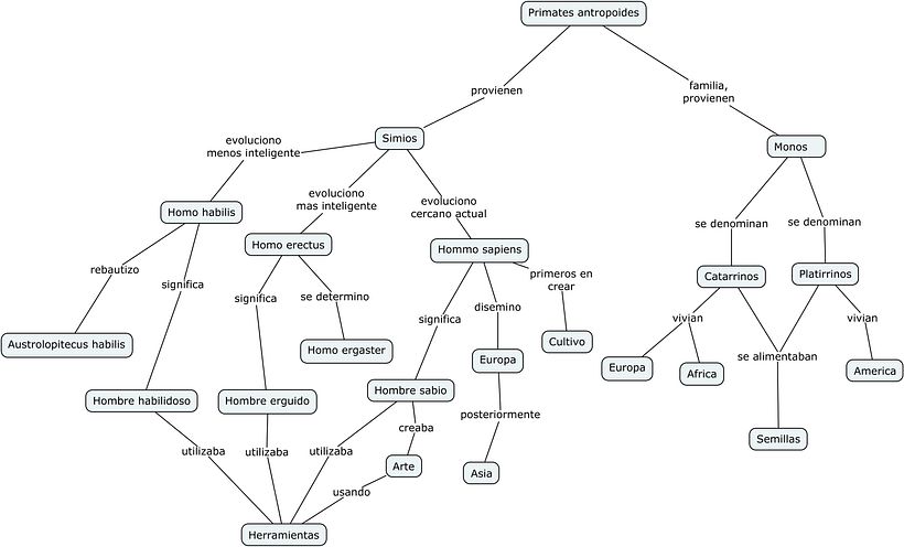 mapa conceptual de la evolucion 1