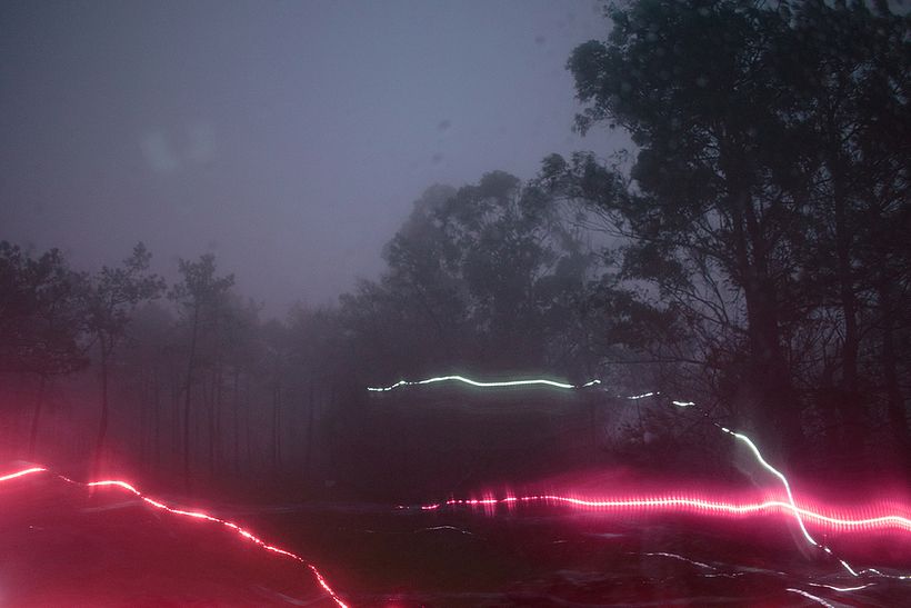 Lo complejo del cerebro, por medio de hermosas fotografías 5