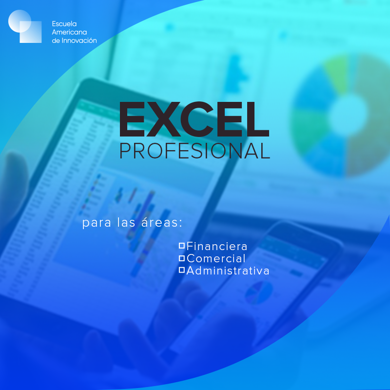 Excel Profesional 0