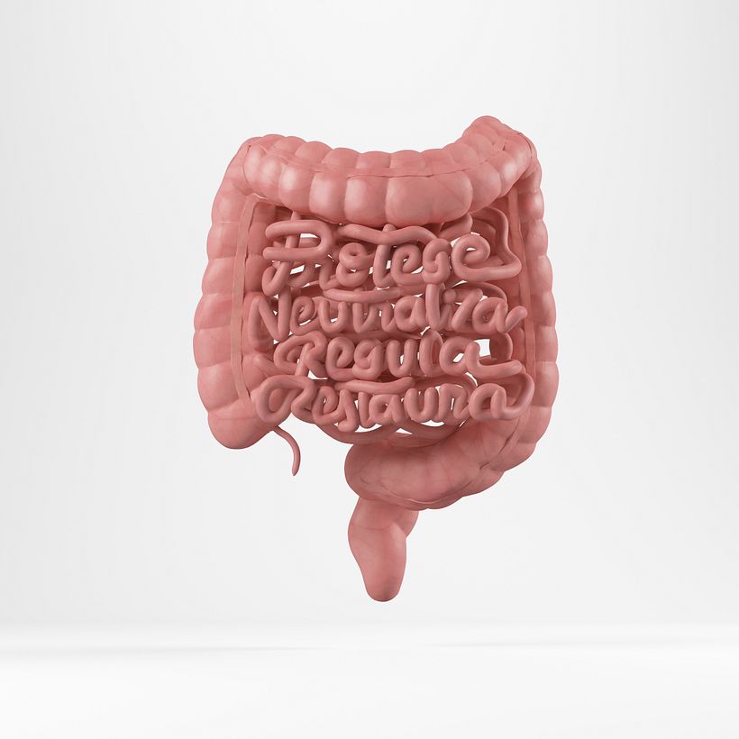 Intestinos 3D lettering -1