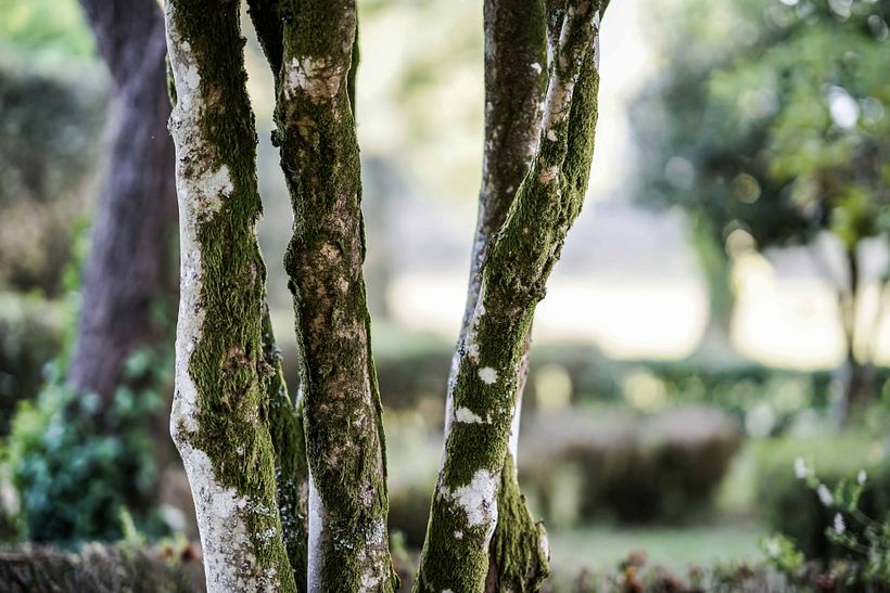 Fotografía: Mondariz 0