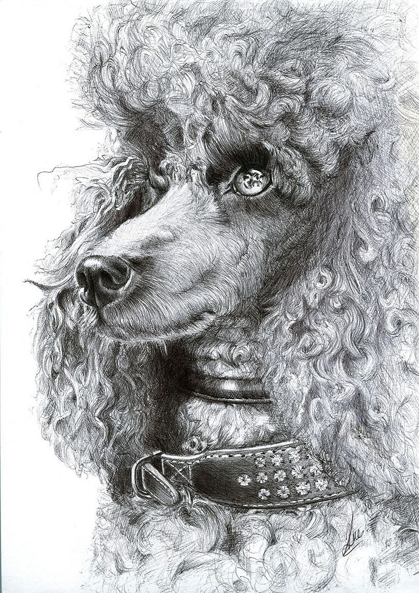 Dibujos a bolígrafo -1