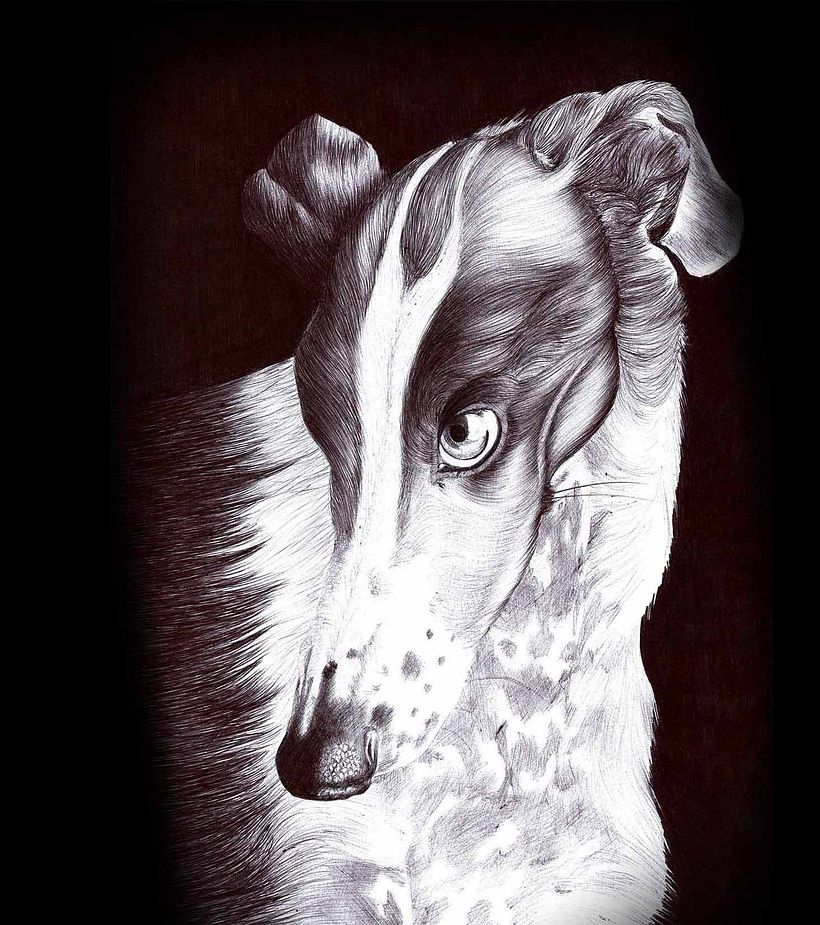 Dibujos a bolígrafo 0