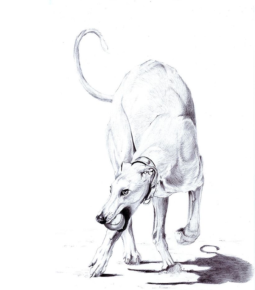 Dibujos a bolígrafo 1