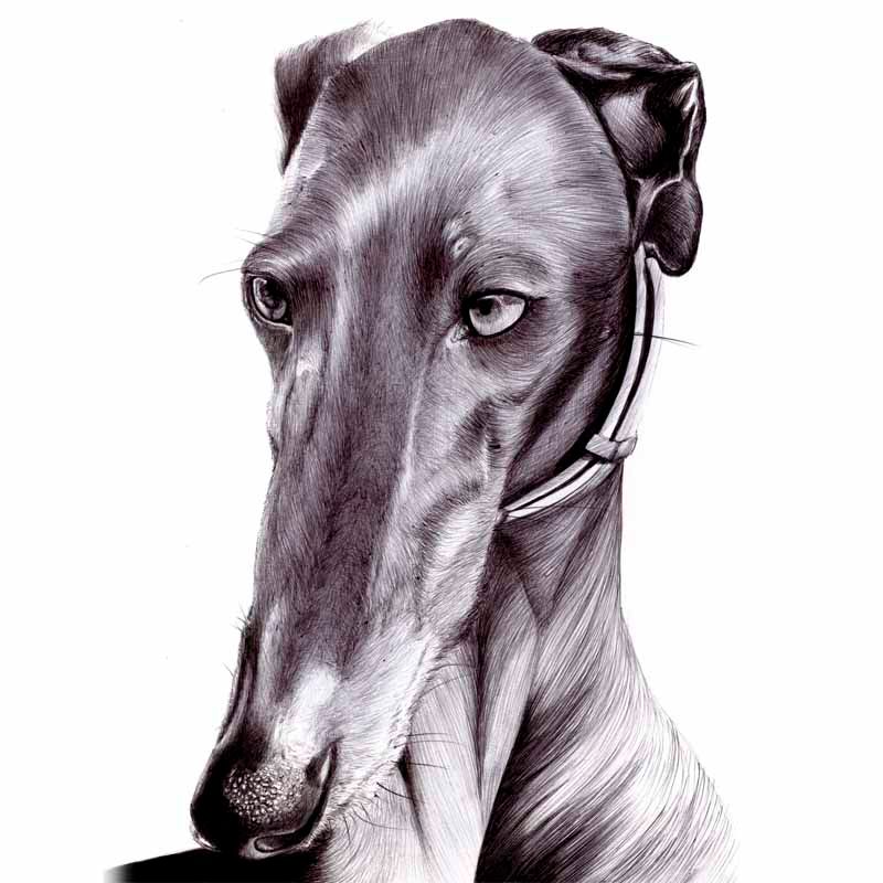 Dibujos a bolígrafo 3