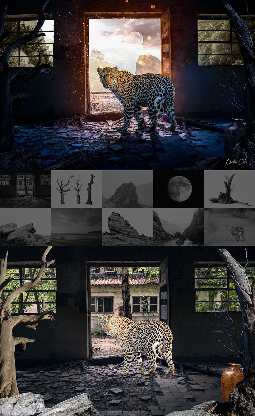 Creative Poster - Jaguar -1