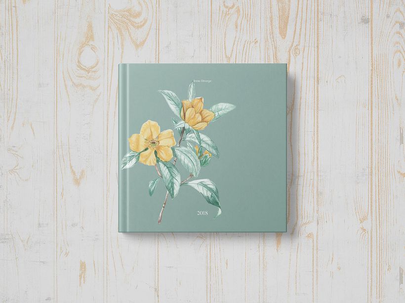 Proyecto del curso Ilustración botánica con acuarela 0