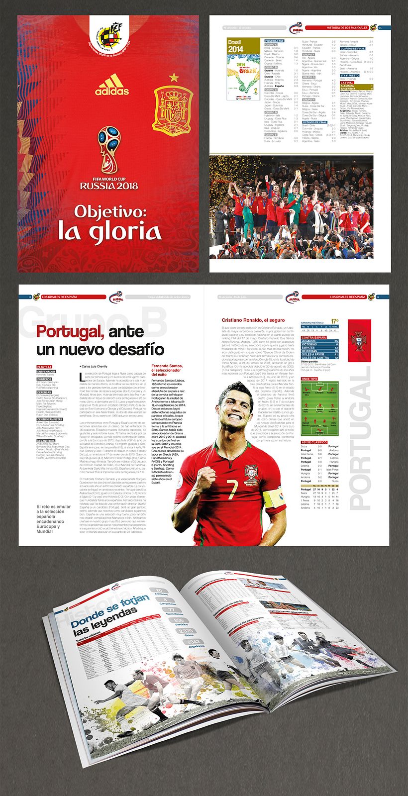 RFEF - Redactioneel ontwerp