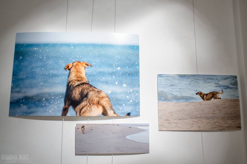 Exposición fotográfica documental "Habitar el instante" 3