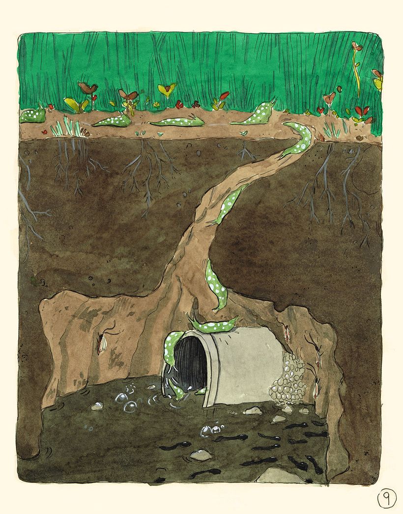 Suarez-Novela gráfica 7