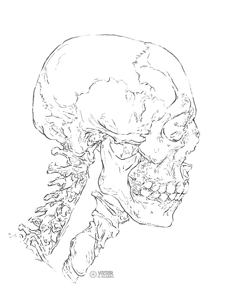 Autorretrato anatómico 2