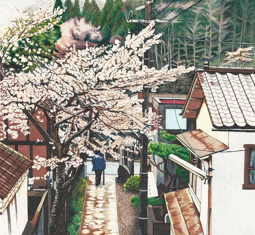 Retratos de Japón, por Erin Nicholls 8