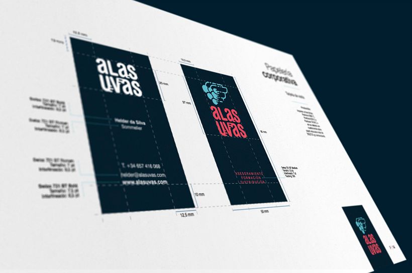 alasuvas – Vinos 11