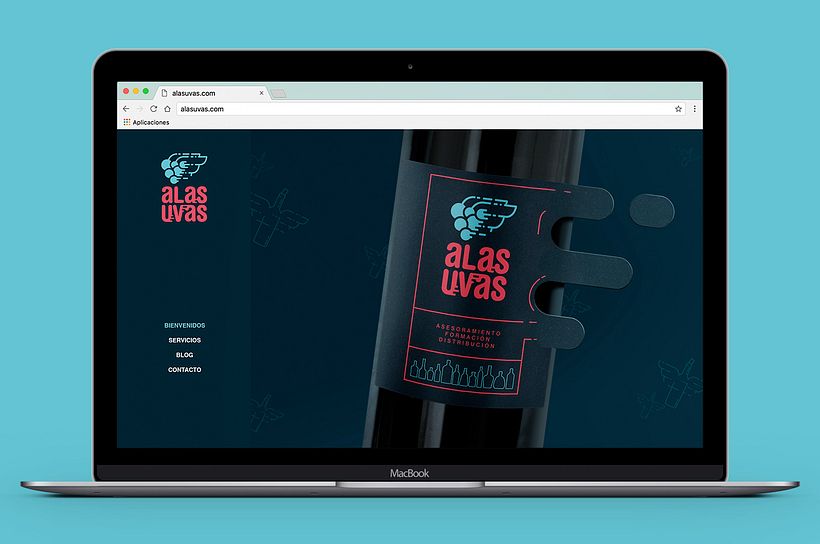 alasuvas – Vinos 14