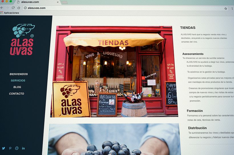 alasuvas – Vinos 17