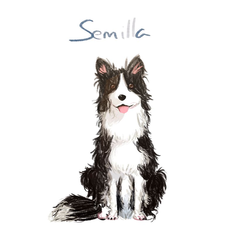 Ilustración Digital 12